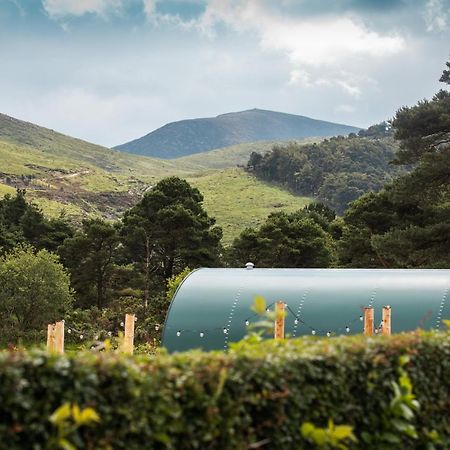 Further Space At Leitrim Lodge Luxury Glamping Pods Mourne Mountains Newcastle  Exteriör bild